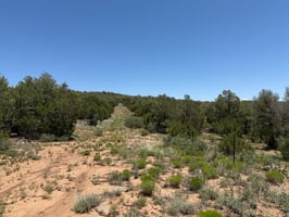 25716359