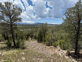 25716349