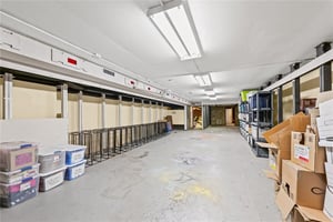 25722981