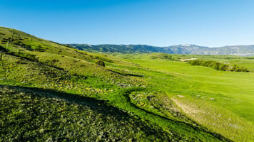 25733130