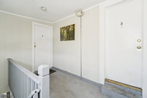 25737683