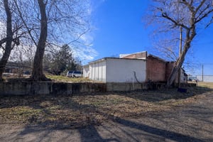 29506644