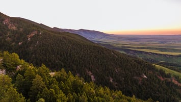 25807507