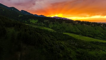 25807540