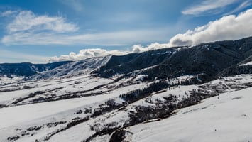 25807541