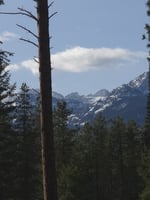 29765347