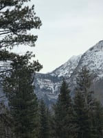 29765328
