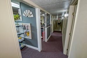 25788940