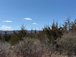 25789716