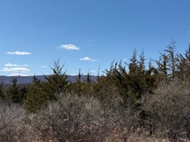 33253184