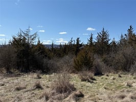 25789712