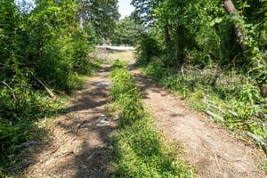 25795408