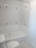 25798045