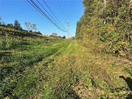 25799022