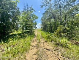 25801441