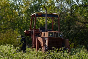 31620846