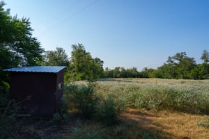 31620856