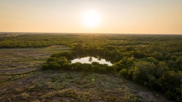 31620864