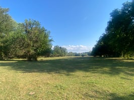 26345282