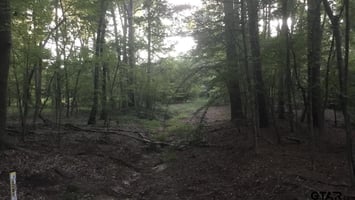 25826528