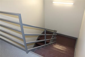 25829661