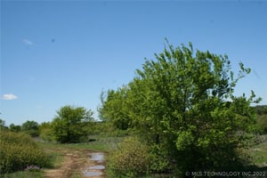 26474026