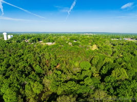 25943731