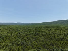 25951694
