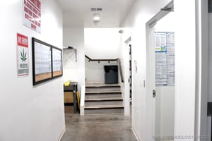 25955783