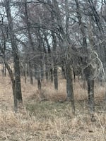 25978133