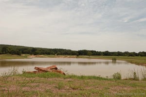 25992181