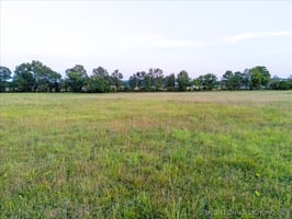 26403477