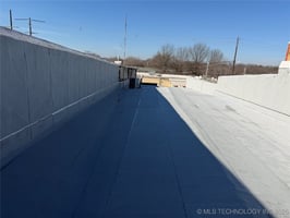 29247673