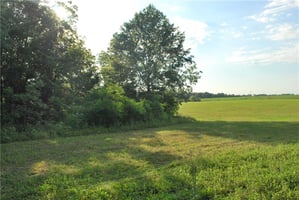 26307826