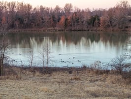 30058491
