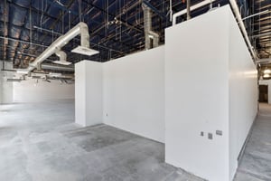 29448250