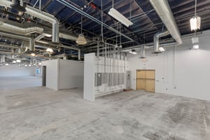 29448254