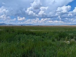 26316851