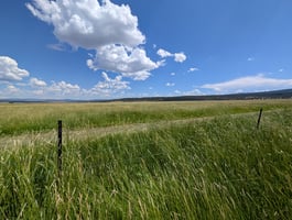 26316843