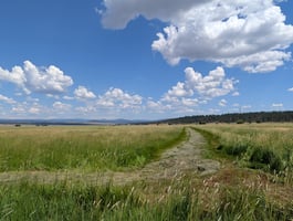 26316846