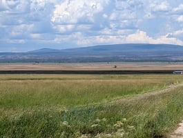26316847