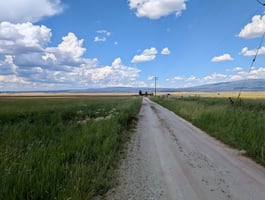 26316852