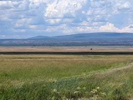 26316848
