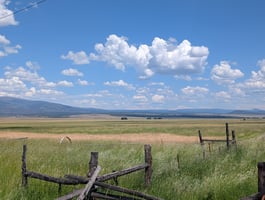 26316849