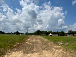 26317514