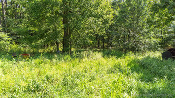 26321150