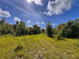 26331587