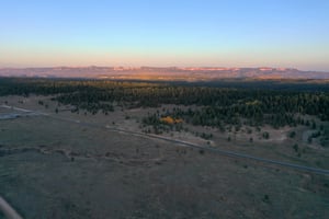 26334204