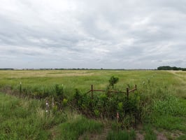 26334972