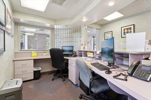 26334992